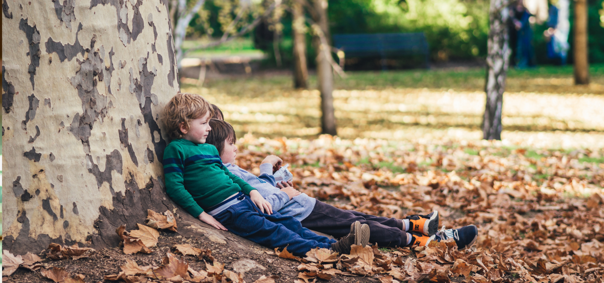 Exposure to green spaces protects children from allergic diseases