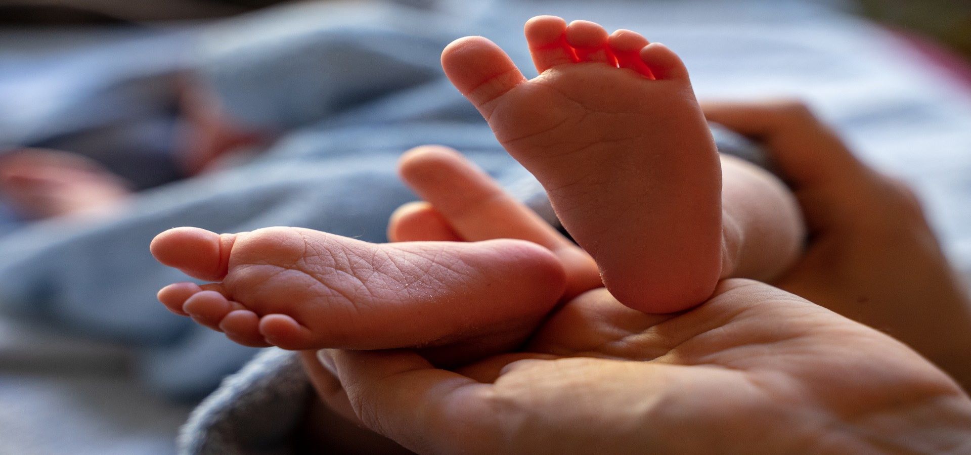 Were you born preterm? An online study is evaluating your health and quality of life