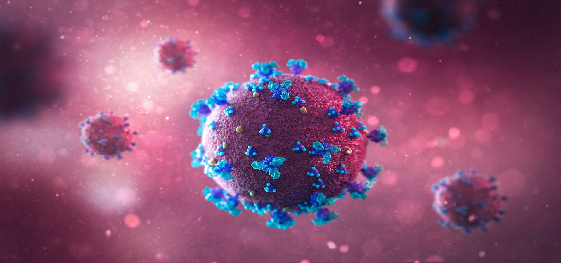 Coronavirus Disease 2019, COVID-19: SARS-CoV-2: Virology