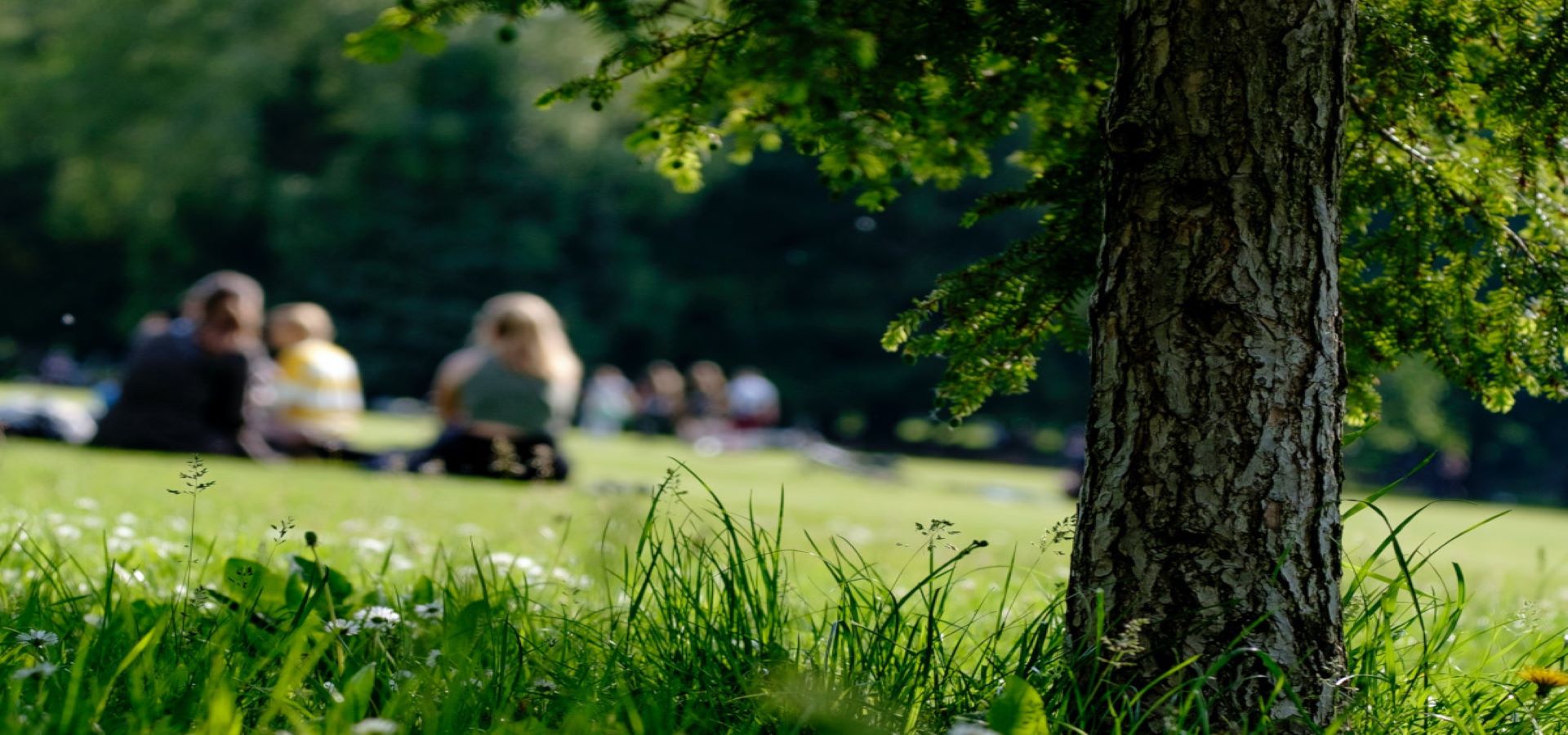 Children with greater proximity to green spaces have less asthma and allergic diseases